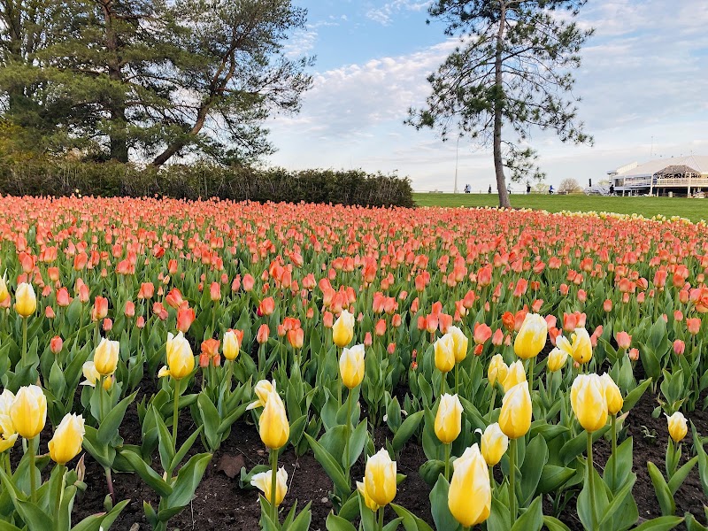 Commissioners Park