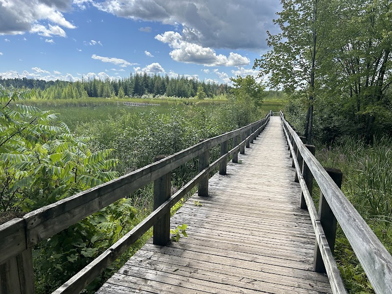 Mer Bleue Bog